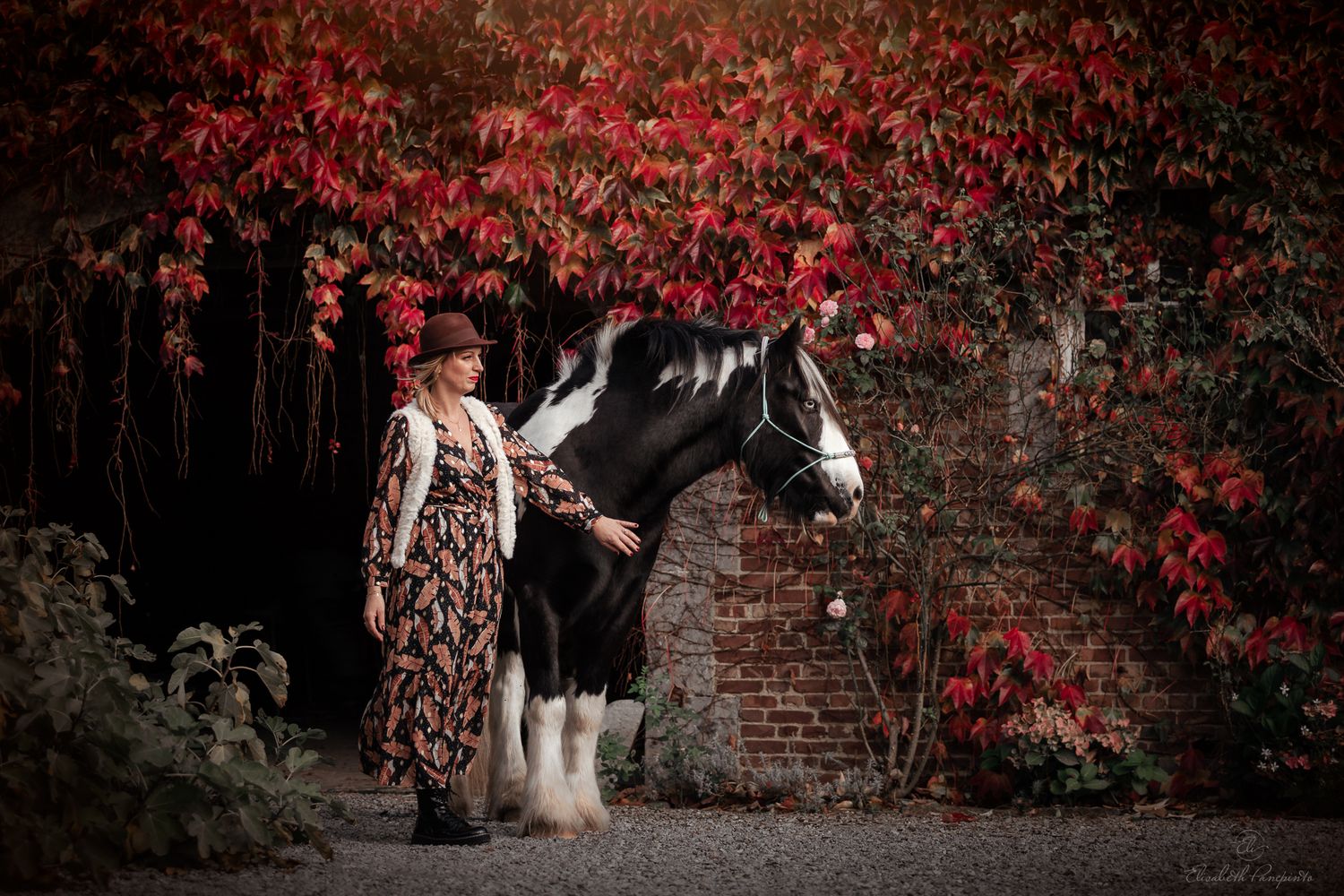 Photographe chevaux extérieur Belgique