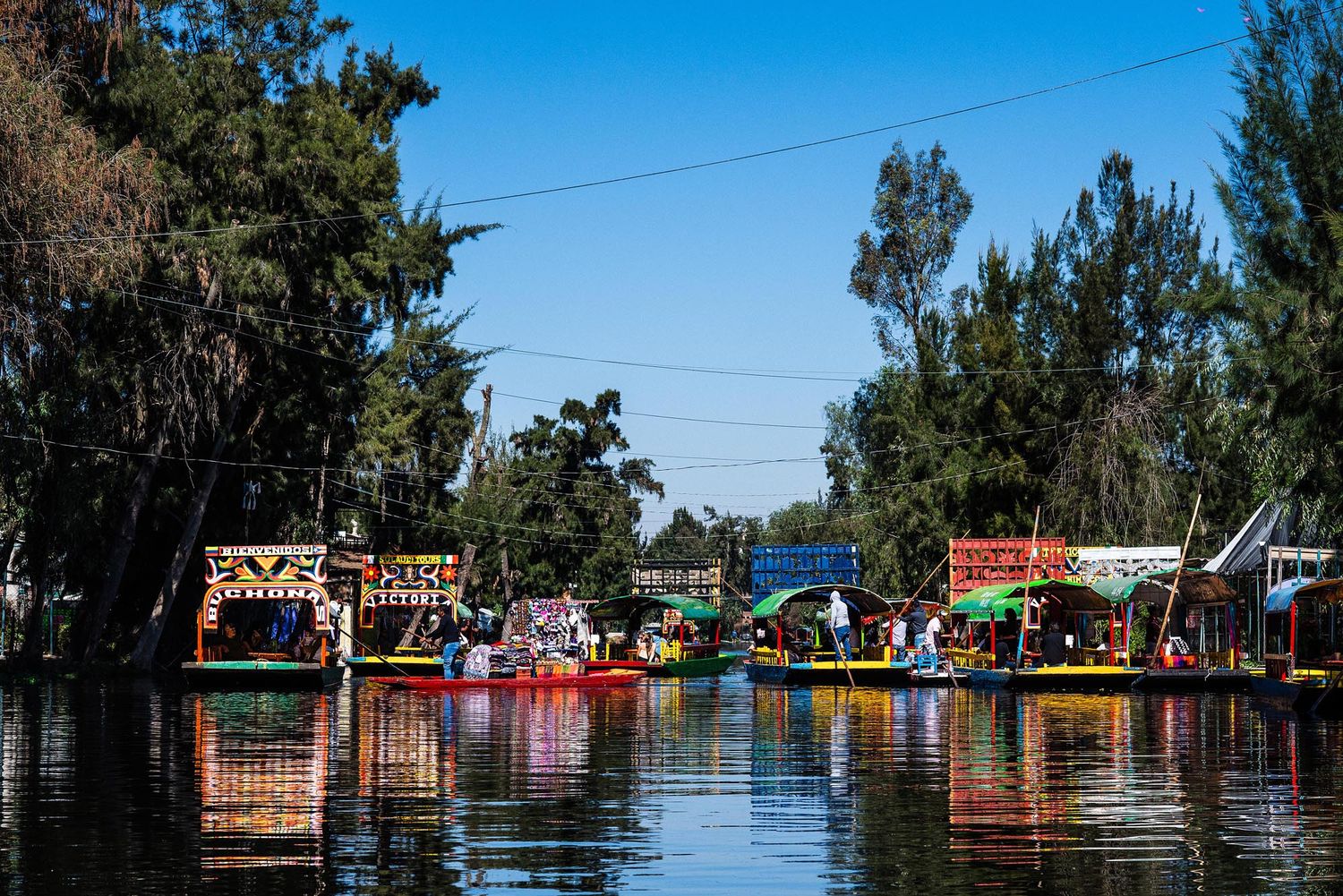 Colorful traditional Mexican trajineras boats line the canals of Xochimilco with trees and blue sky in Mexico City.