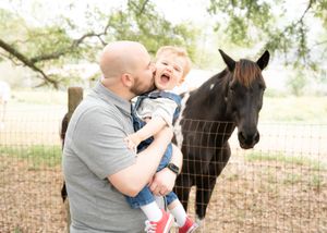 A black horse stands in a sunlit field while people interact with it in a series of connected photos.