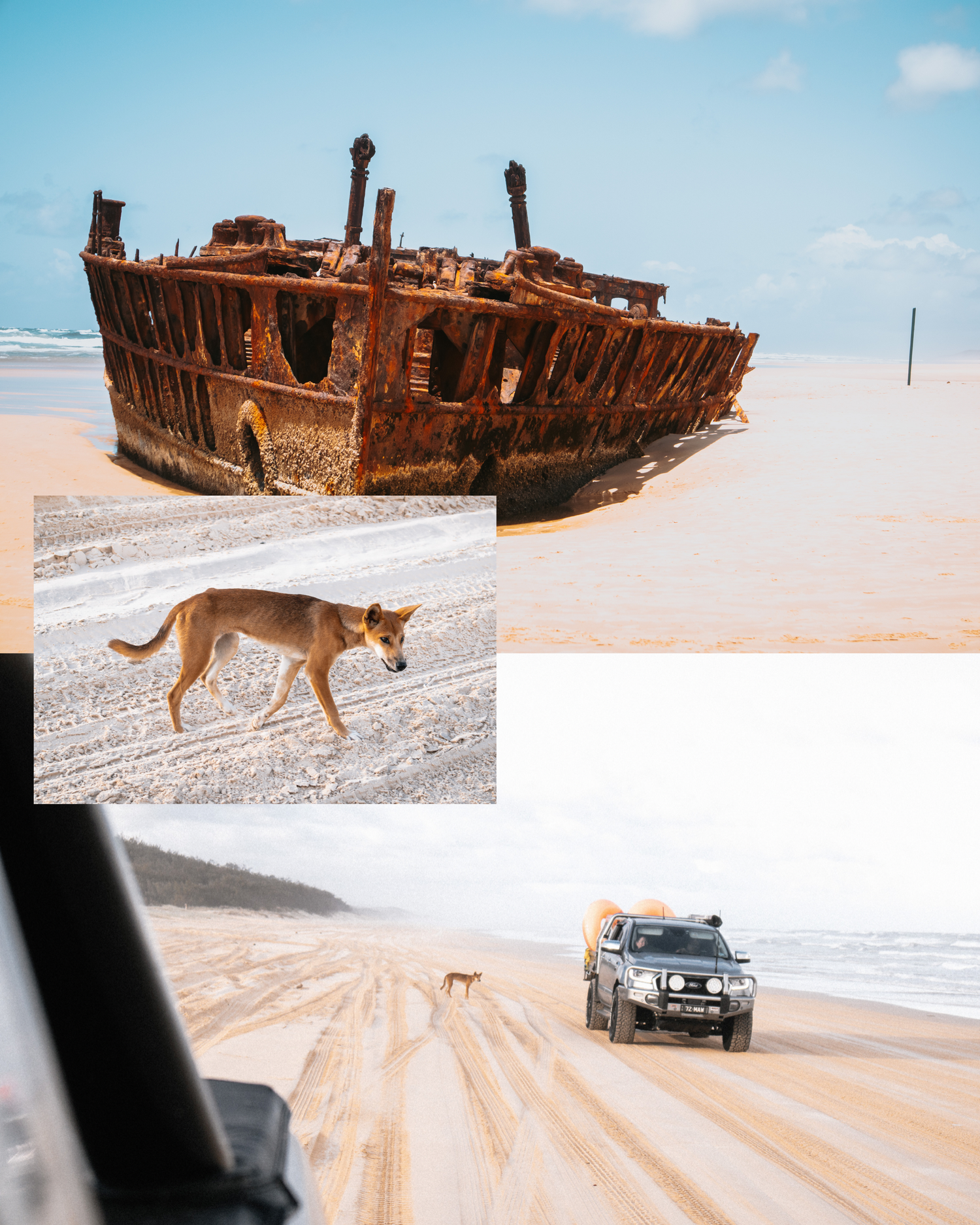 Collage showing a rusty shipwreck on a beach, a dingo walking on sand, and a 4x4 vehicle driving along the shore.