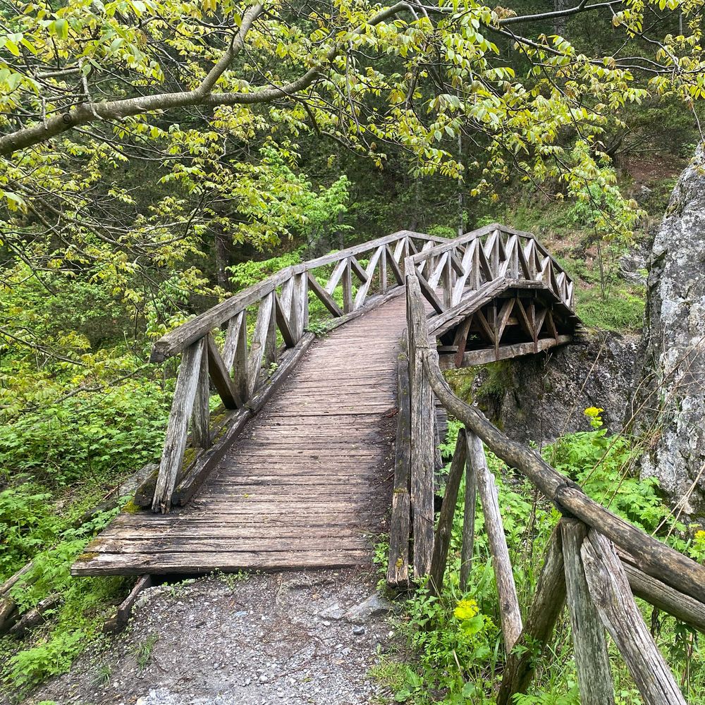 A rustic wooden footbridge with handrails winds through a lush green forest setting along a mountain hiking trail.