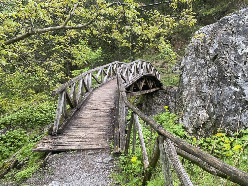 A wooden footbridge trail winds through lush green forest alongside rocky cliffs and mossy terrain.