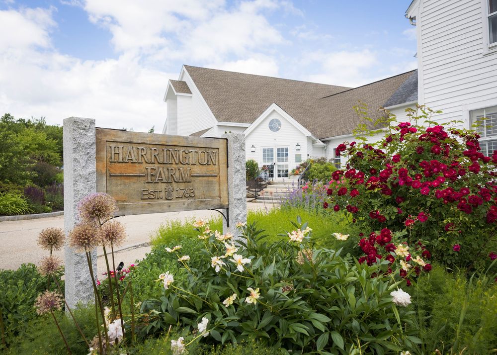Harrington Farm wedding venue entrance with vibrant red roses and white flowers in full bloom.