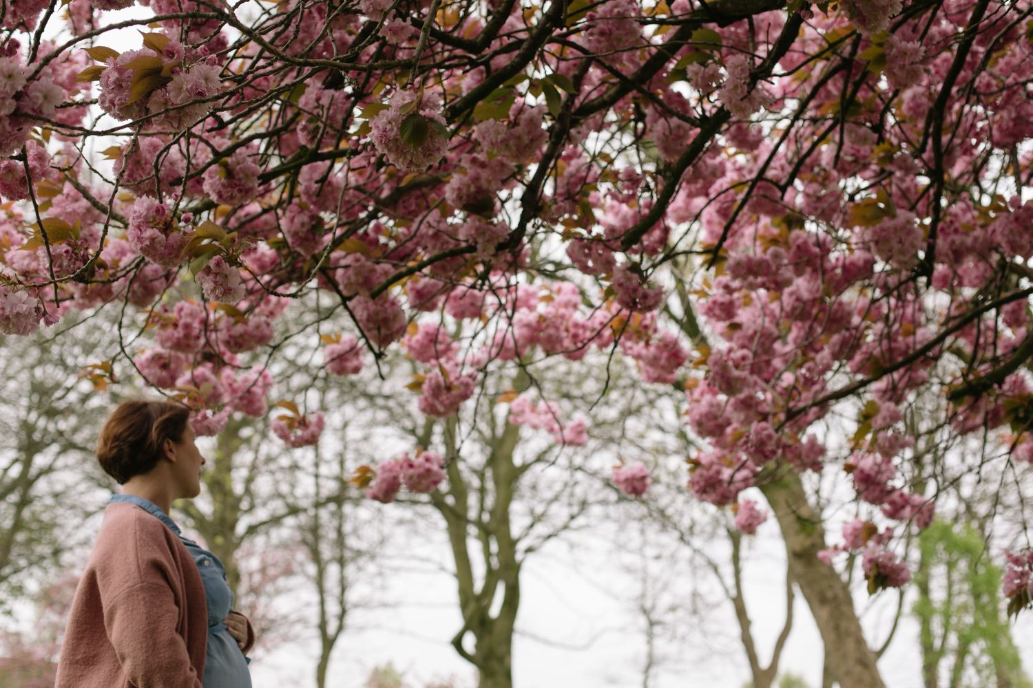 A person in a peach colored coat admires blooming pink cherry blossoms in a spring garden.