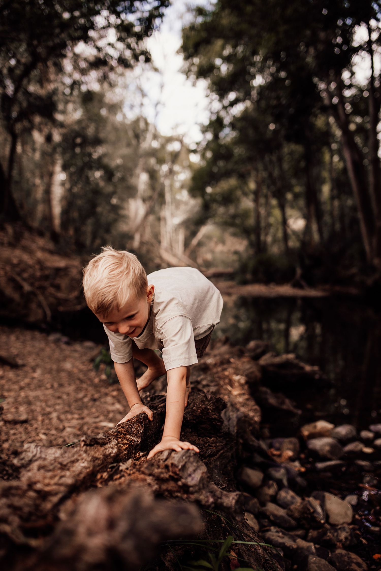 A child explores the forest floor near a stream on a warm autumn day.