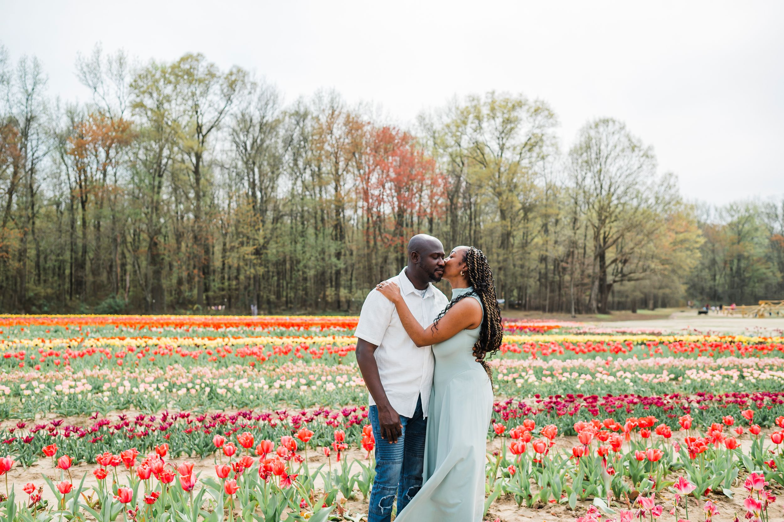 A couple shares a tender moment while standing among blooming tulips in a spring flower field.