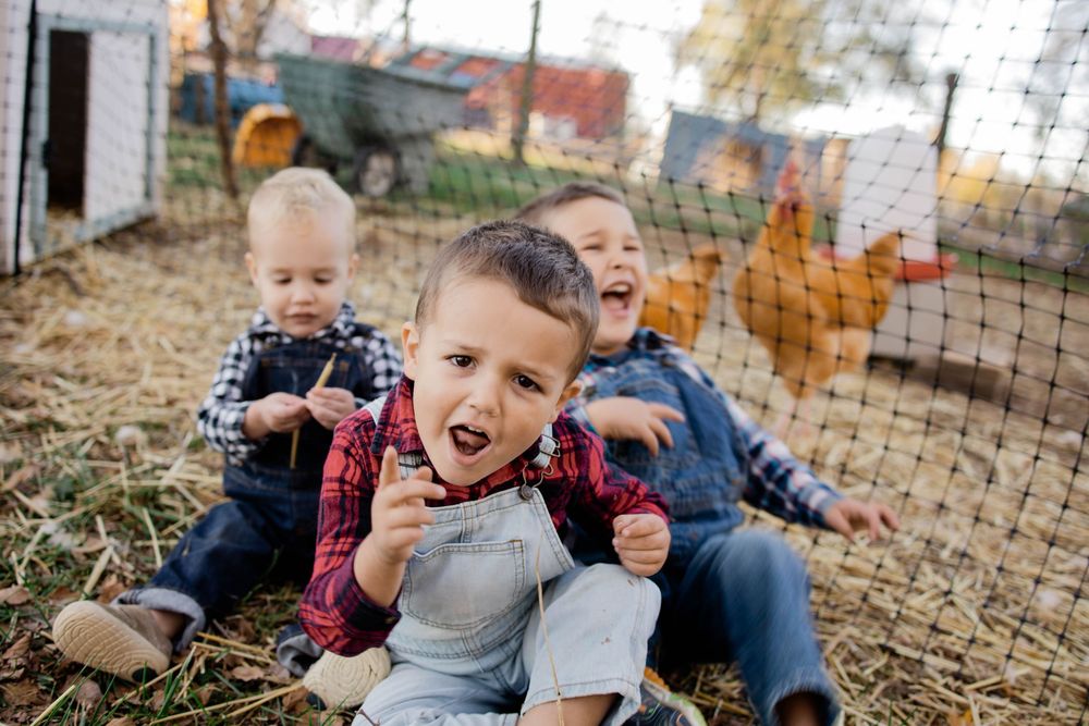 A grid of playful autumn photos showing laughter and joy among fallen leaves and rustic outdoor settings.