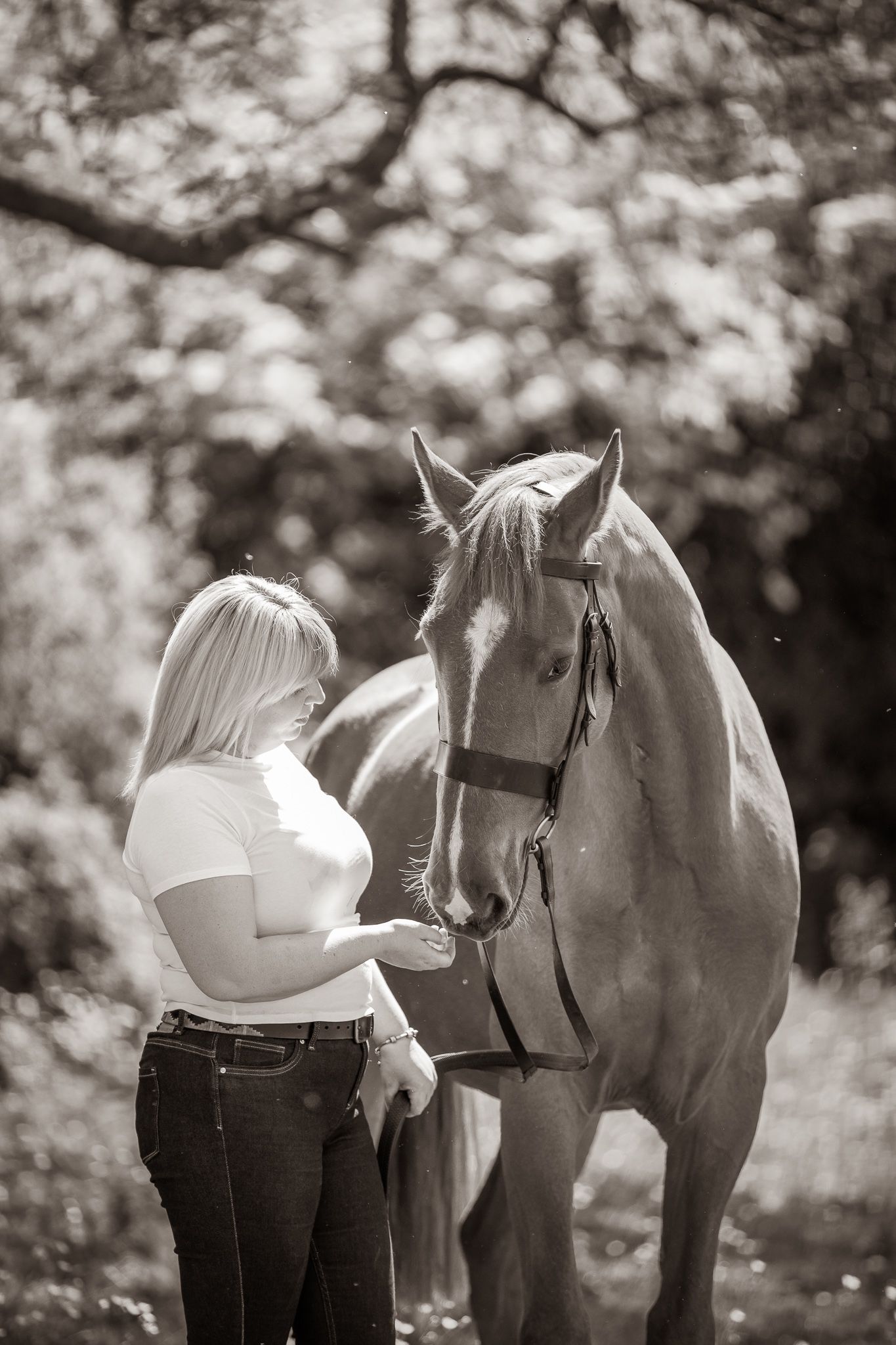 A gentle moment between a rider and dark horse with white blaze in a rustic stable setting, captured in black and white.