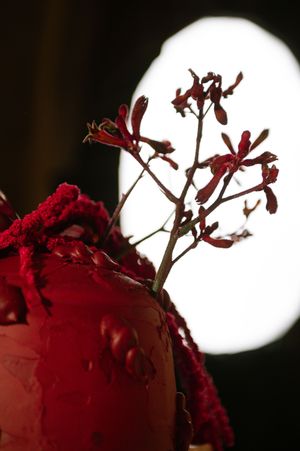 Deep red flower petals and delicate stems silhouetted against a bright white circular light in the background.