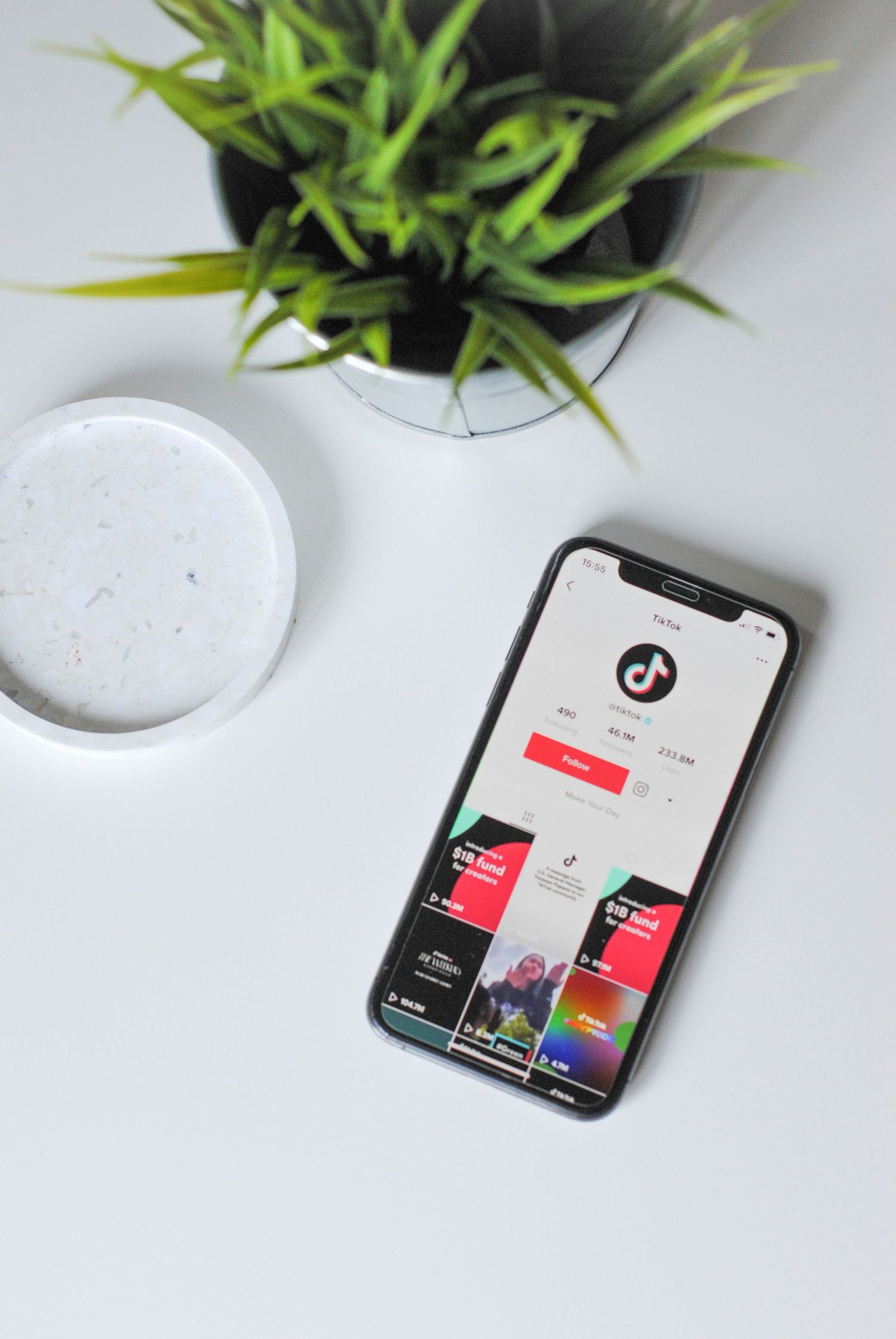 iPhone showing TikTok app interface next to plant and white coaster on desk.