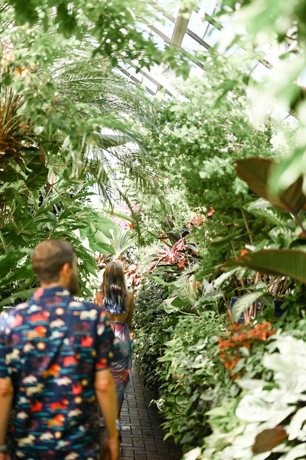 Figures walking through a garden path surrounded by tropical plants and greenery.