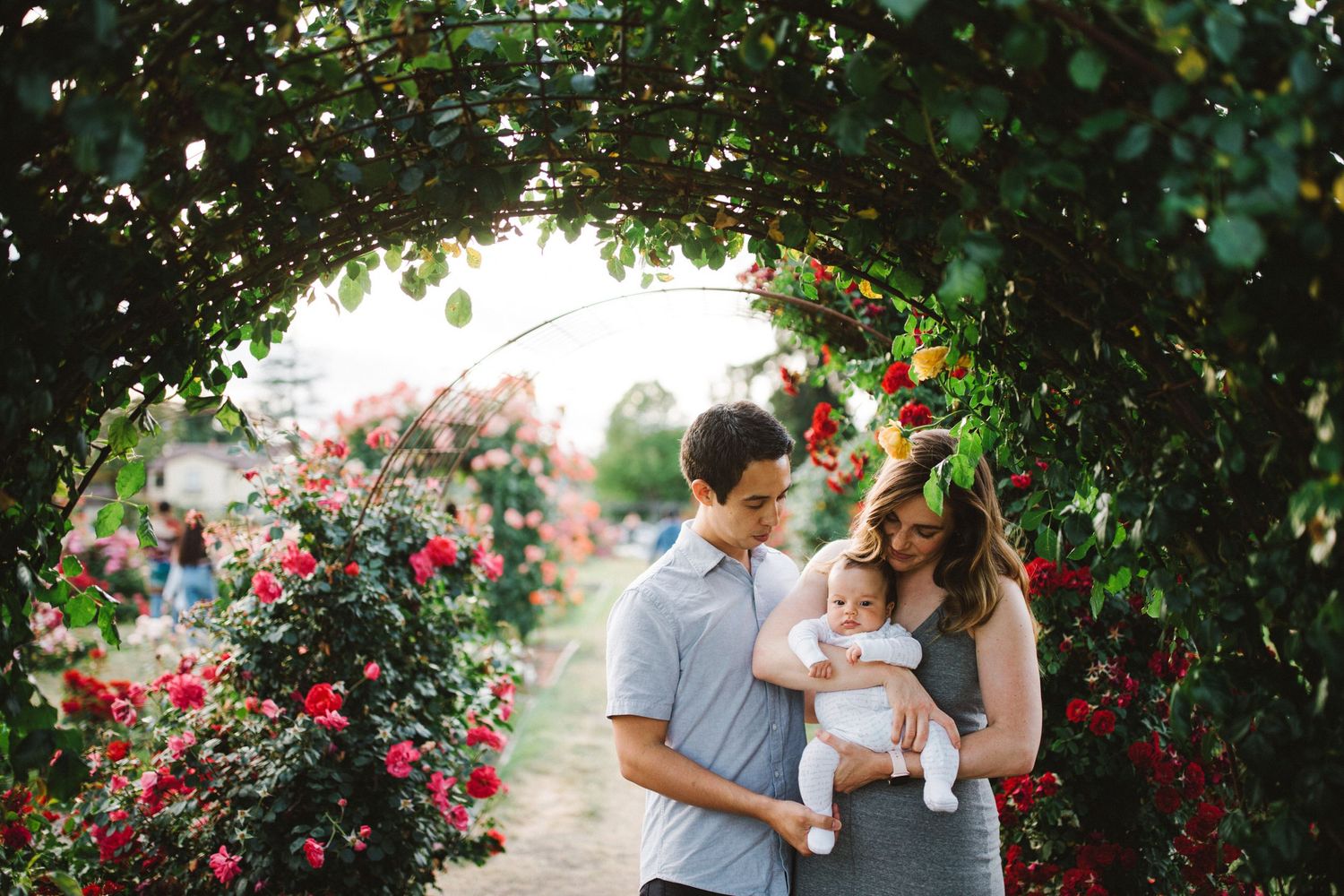 A family shares a tender moment under an archway of roses and greenery.
