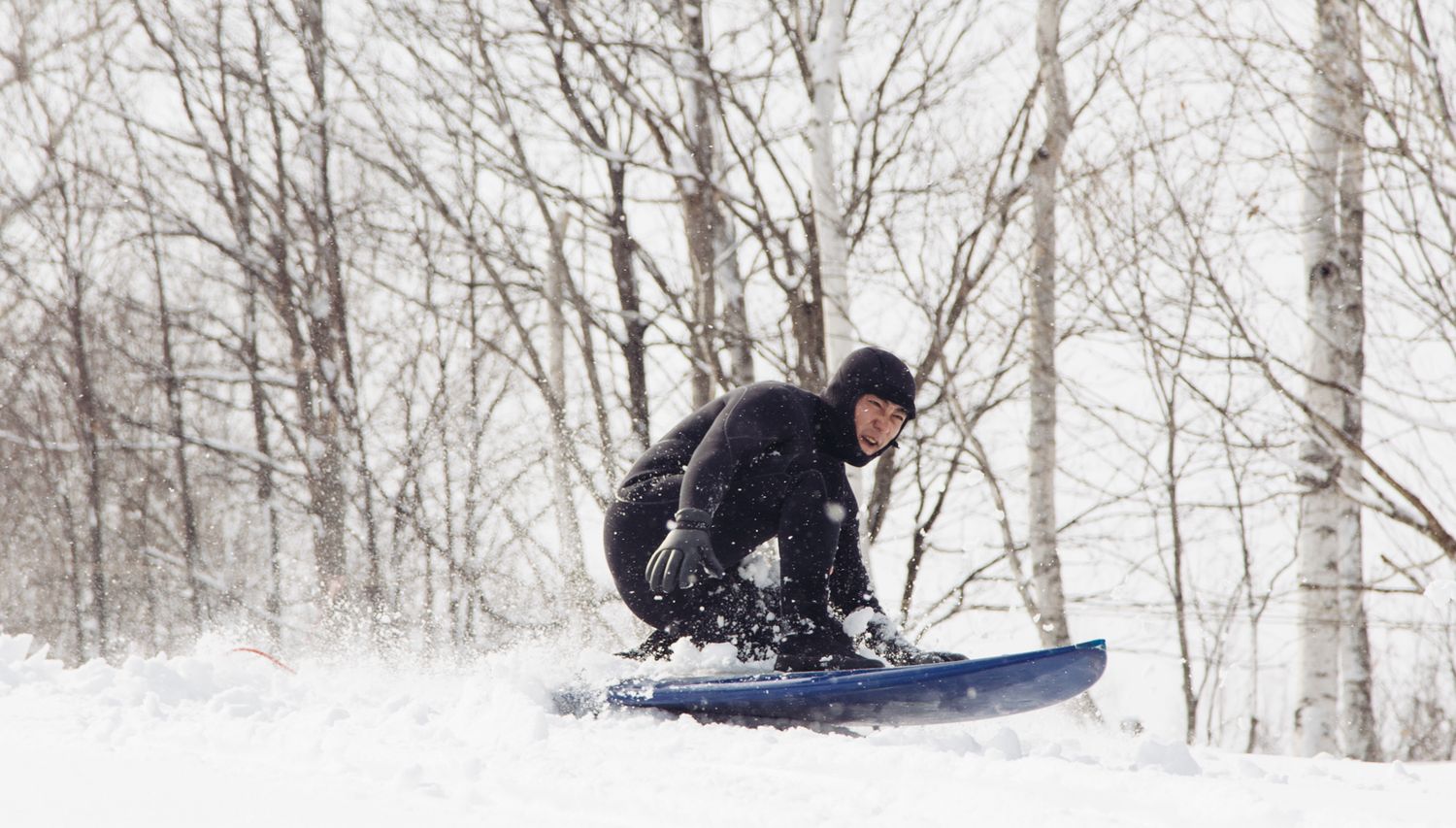 Snowboarding surfing snowsurf in Japan with white birch and japow
