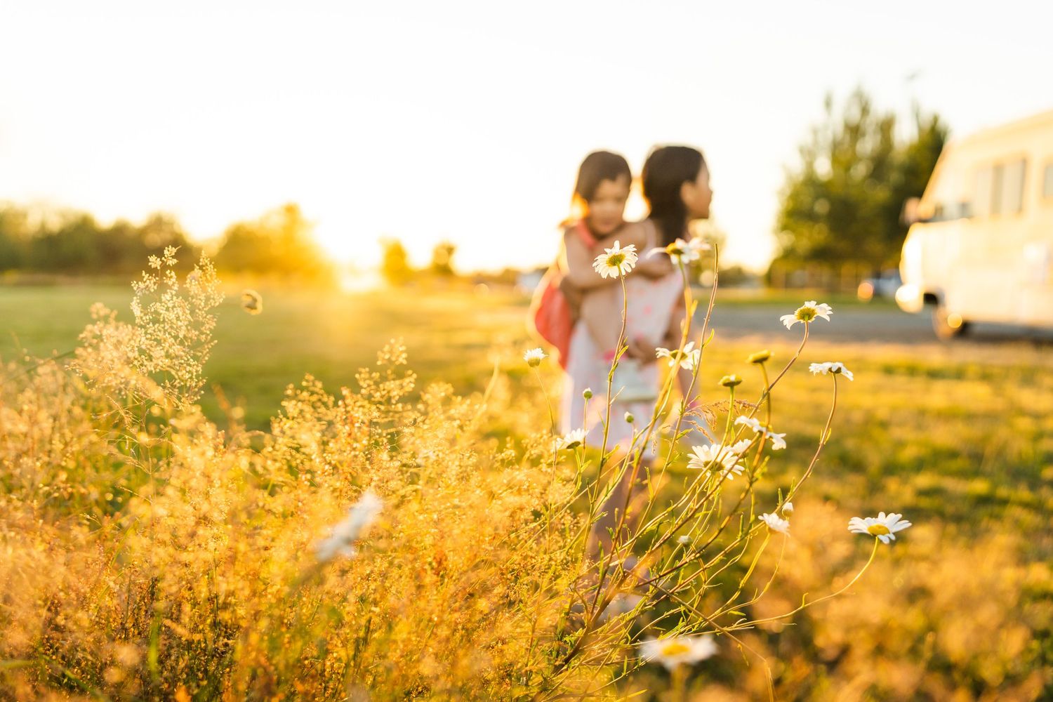 Two sisters in a field of daisies at sunset in Marymoor Park.