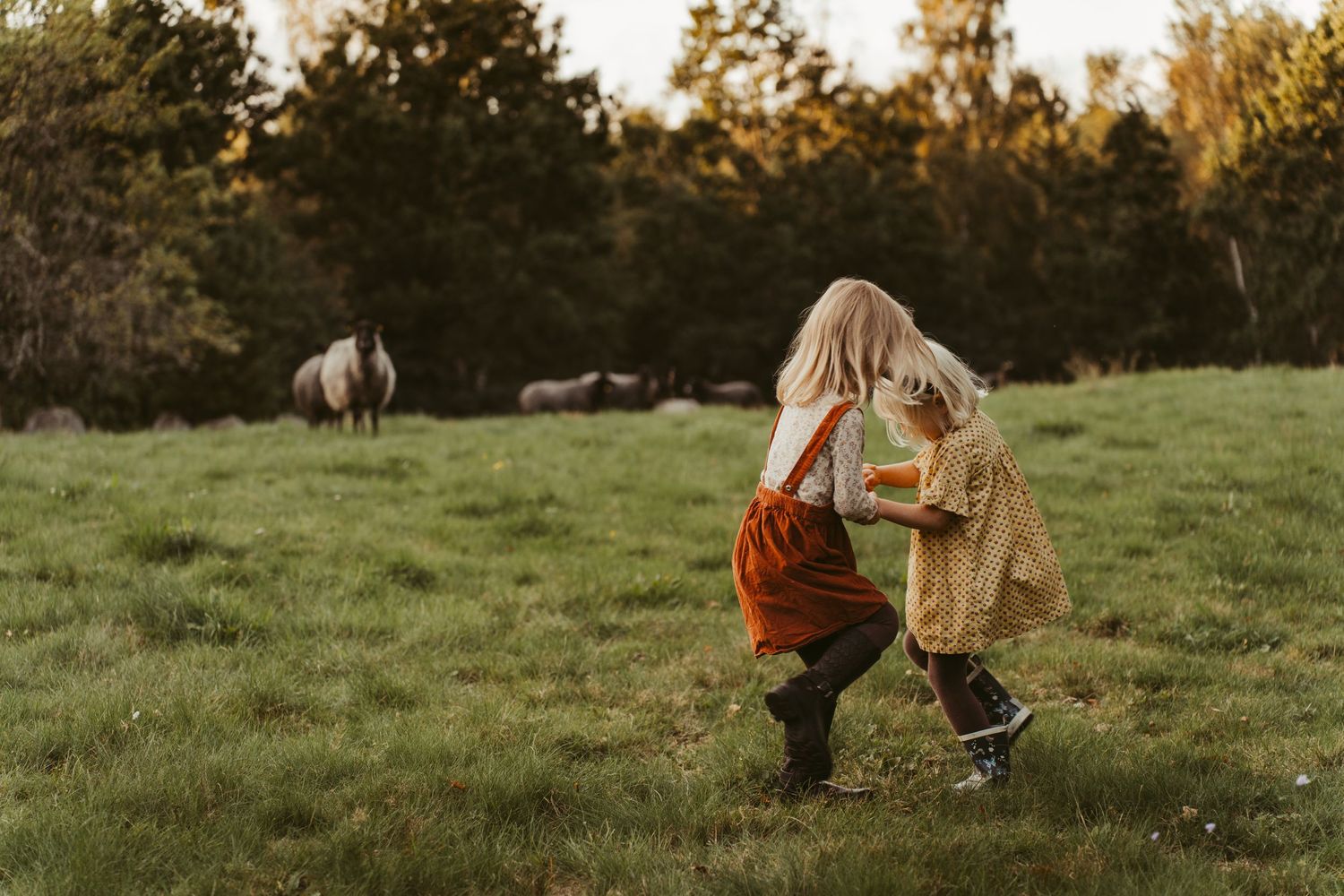 A child in autumn clothing runs through a grassy field with sheep grazing in the background.