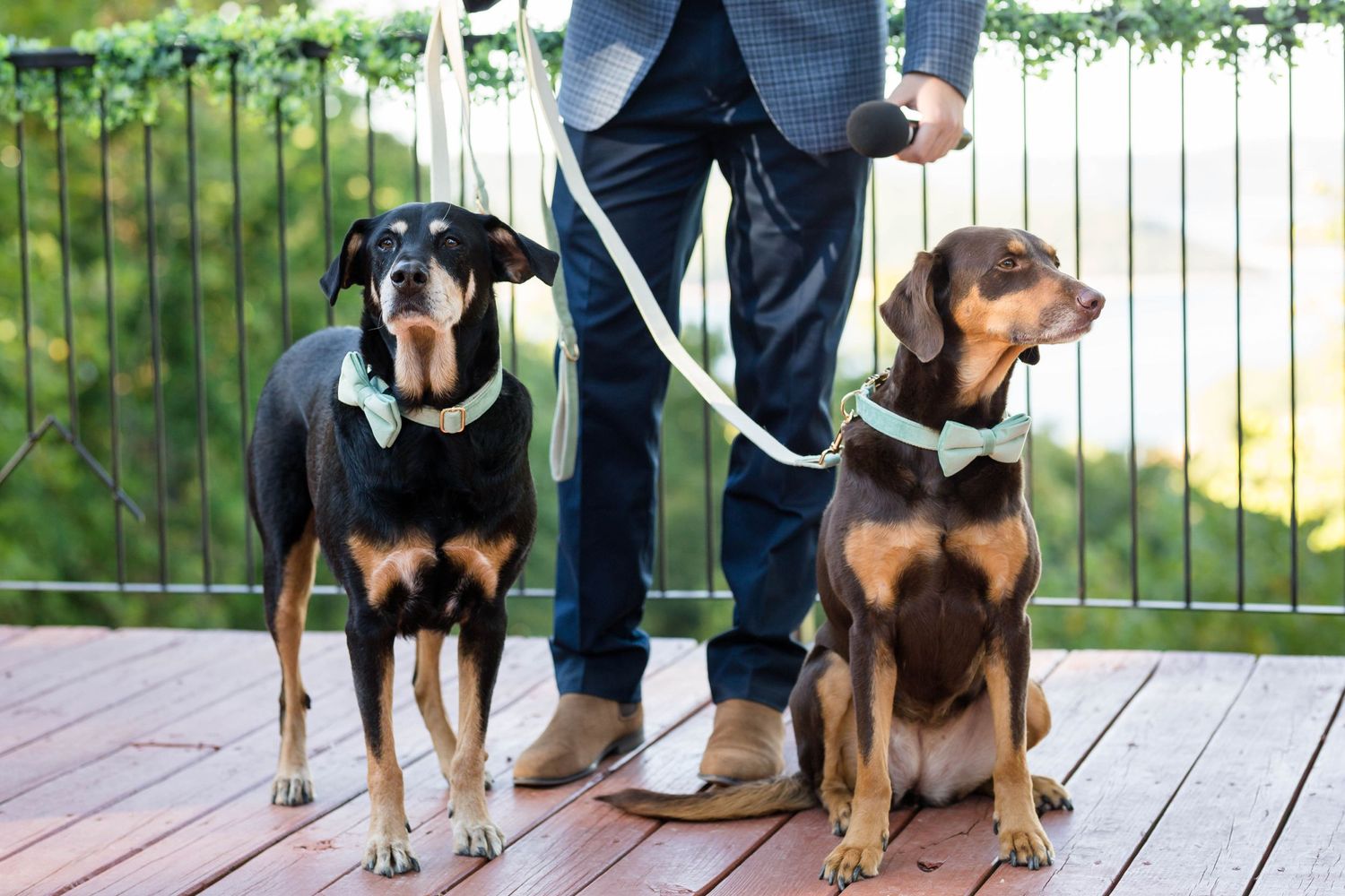 How to Prep for a Photo Session with Your Pet
