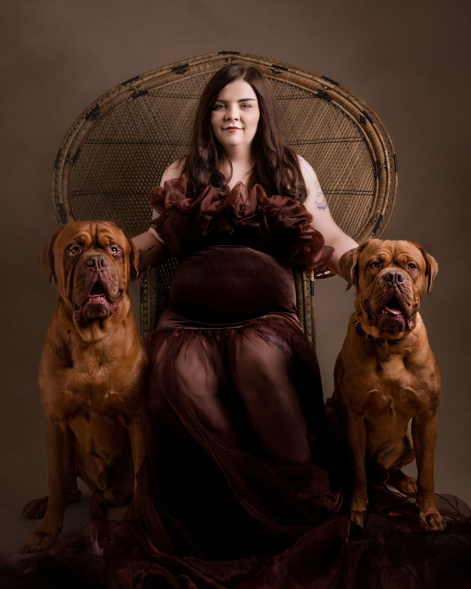 Maternity portrait in wicker peacock chair with two French Mastiff dogs.