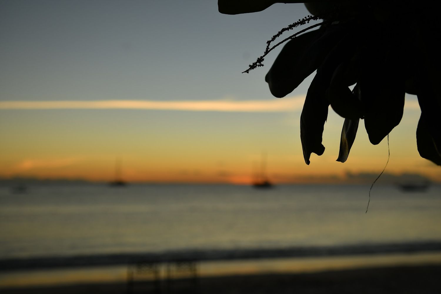 Silhouetted sunset landscape over calm ocean waters.