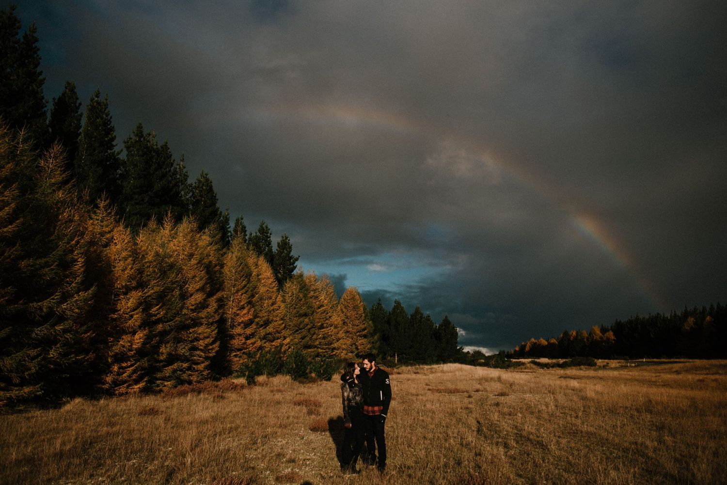 Napier Photographer, Hawke's Bay Photographer, rainbow, couple session, leather jacket, Taupo Road, Pine trees, forest