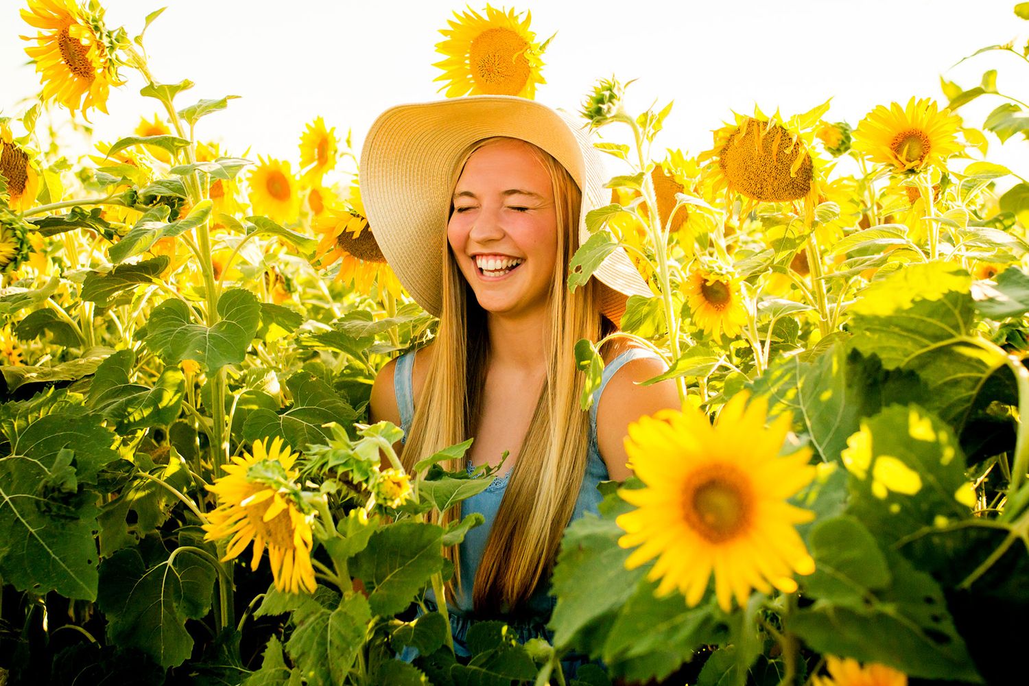 Sunflower Mini Photography Sessions Omaha, NE