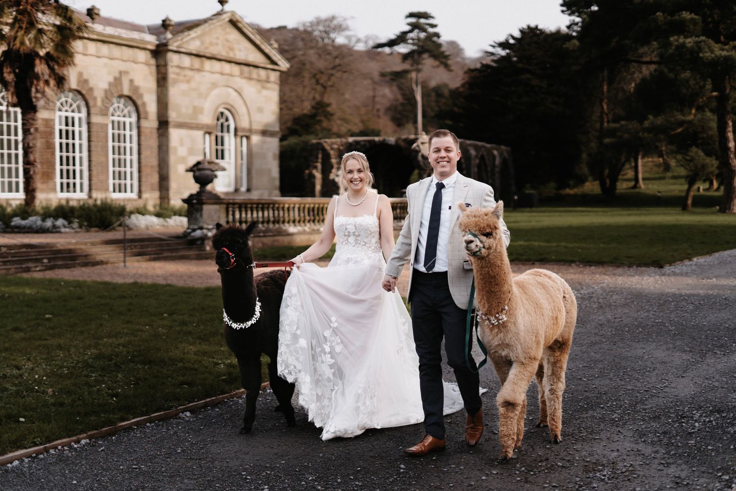 Wedding photo with newlyweds and alpacas outside a grand stone building.