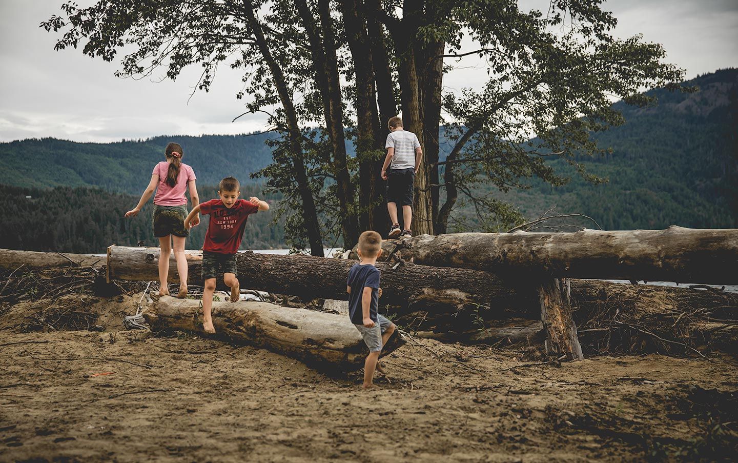 kids climbing on logs