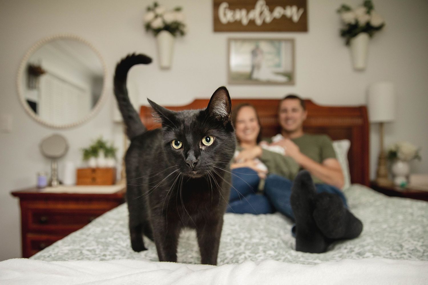 A black cat with bright eyes poses on a bed while a couple relaxes in the background.