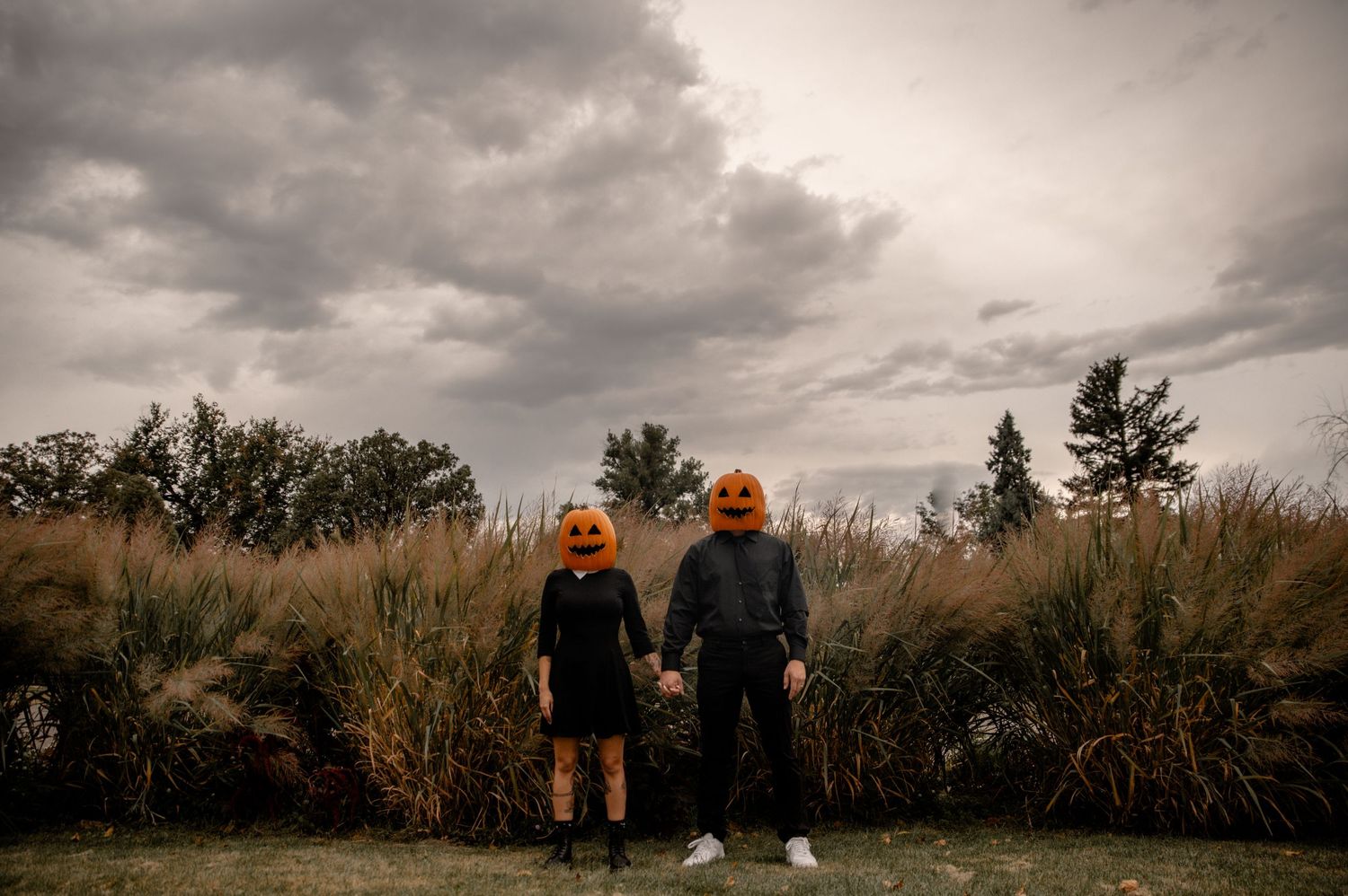 Two figures stand in tall grass with a dramatic cloudy sky overhead.