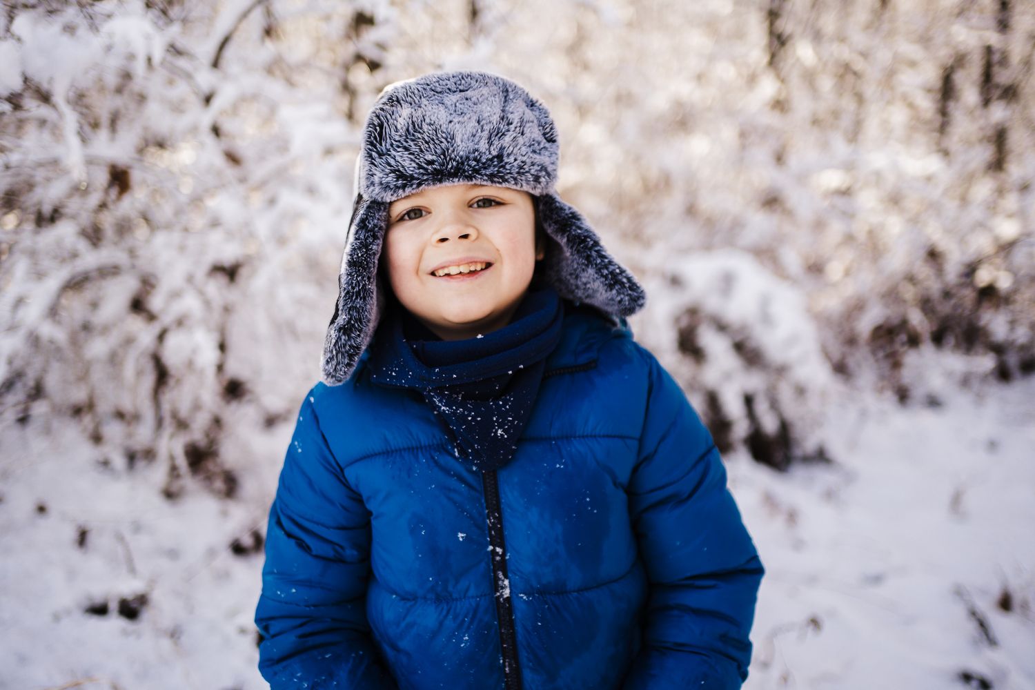 St. Louis Snow Day