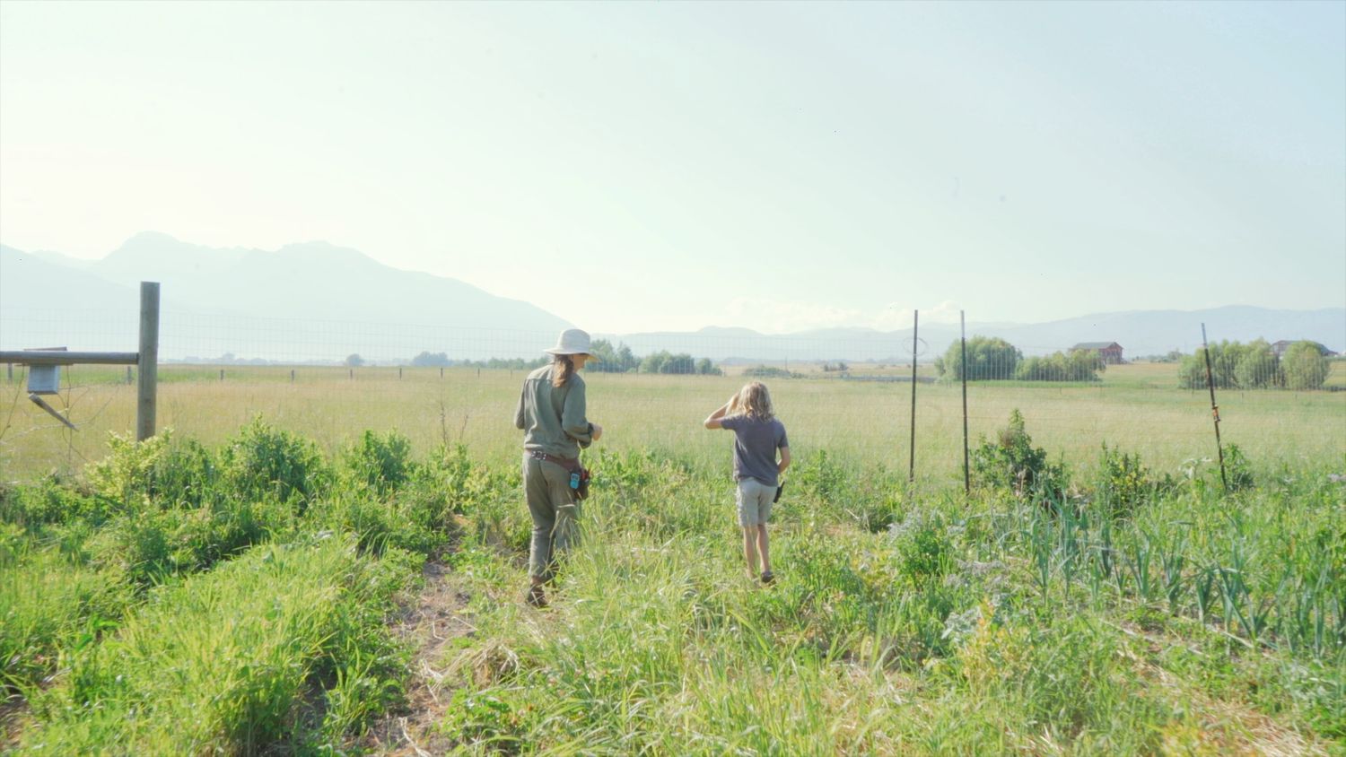 Two hikers walk along a grassy trail on a sunny day with mountains visible in the distant background.