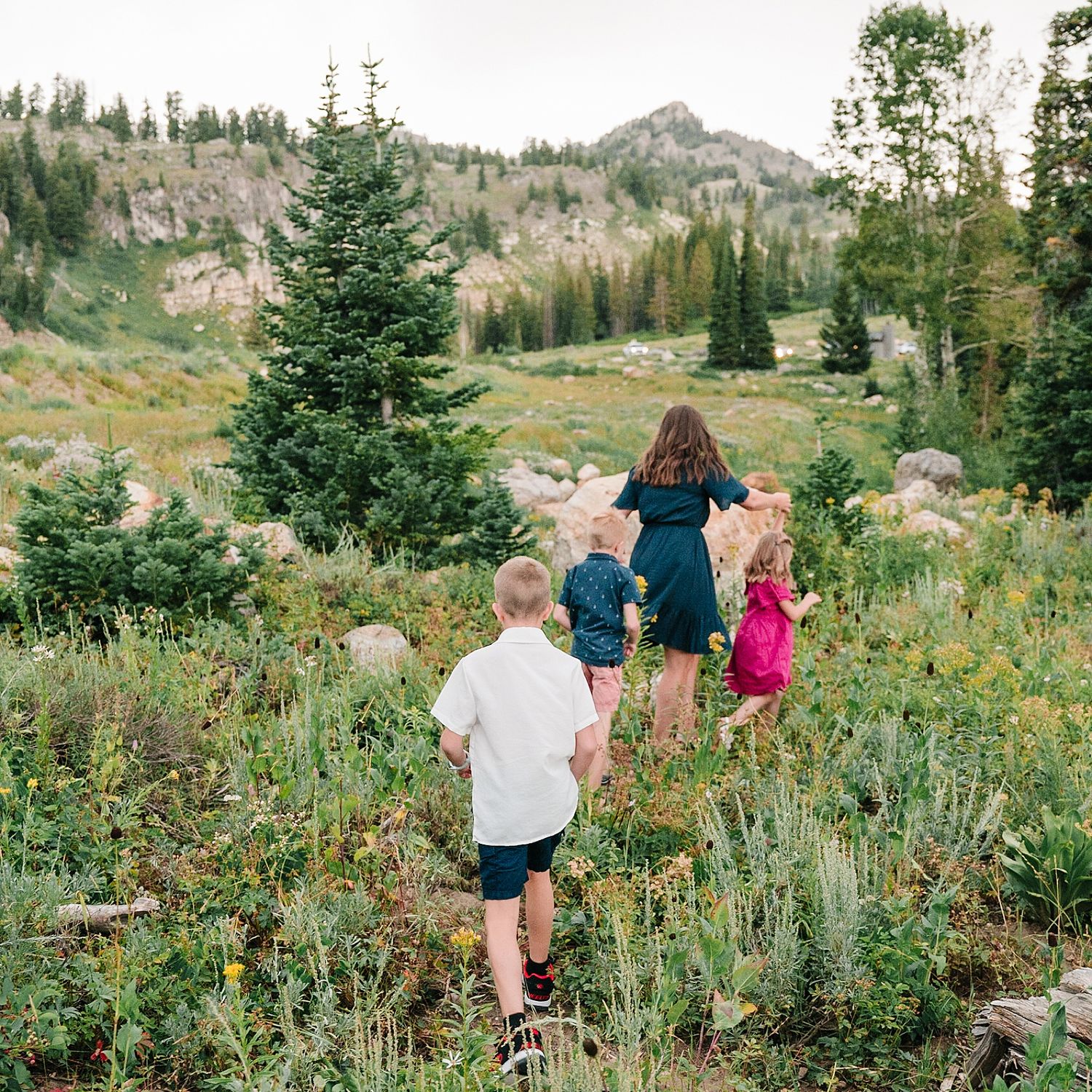 Hiking group walking through a scenic mountain meadow filled with wildflowers and evergreen trees.