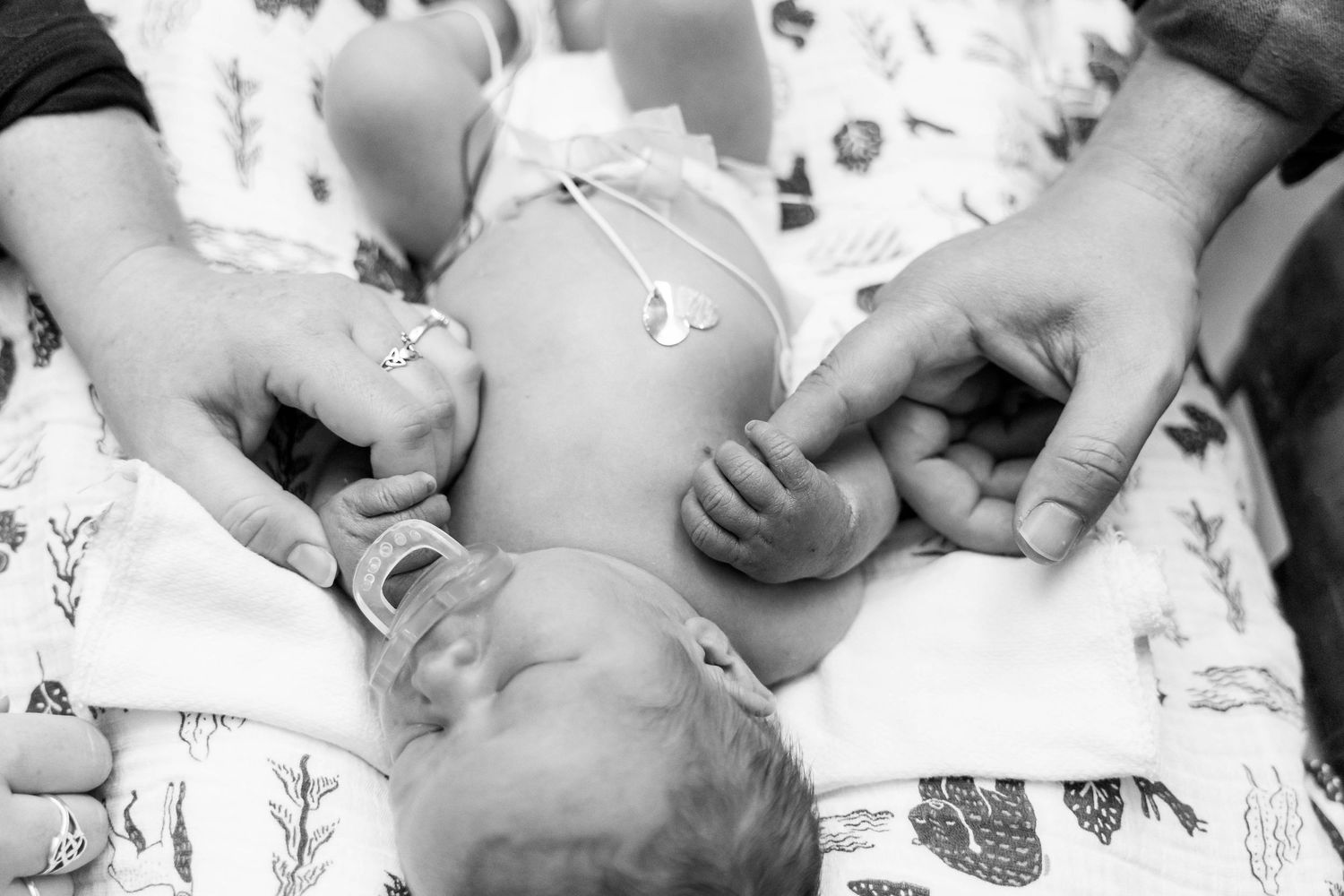 NICU Photos Rochester NY