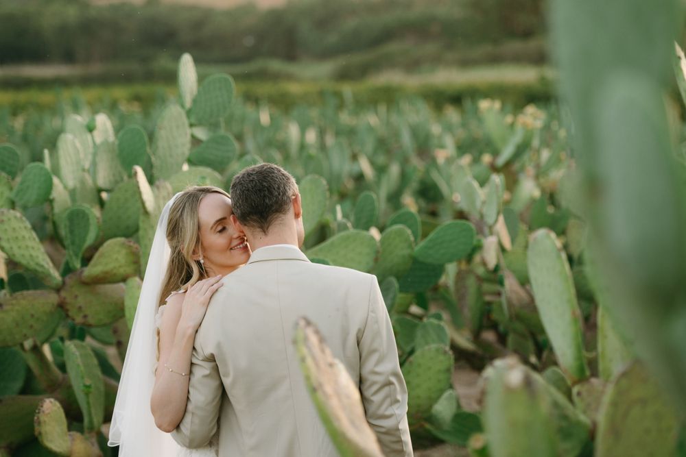 couple standing in cactus field wearing formal attire amid greenery.