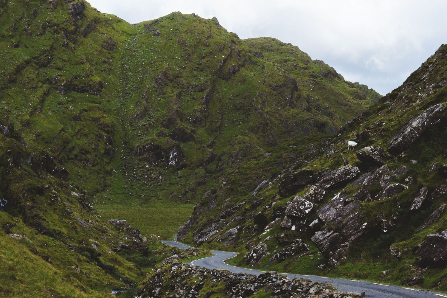 Downpatrick Head road trip van irlande
