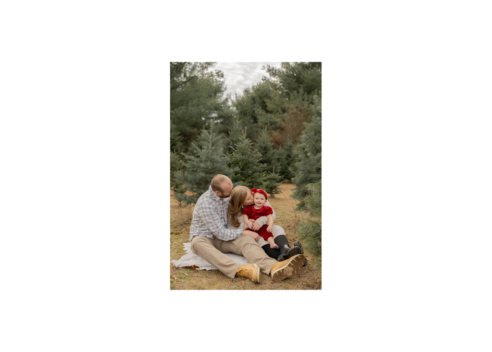 A Guide to Christmas Tree Farm Minis with Becks Photography - Becks ...