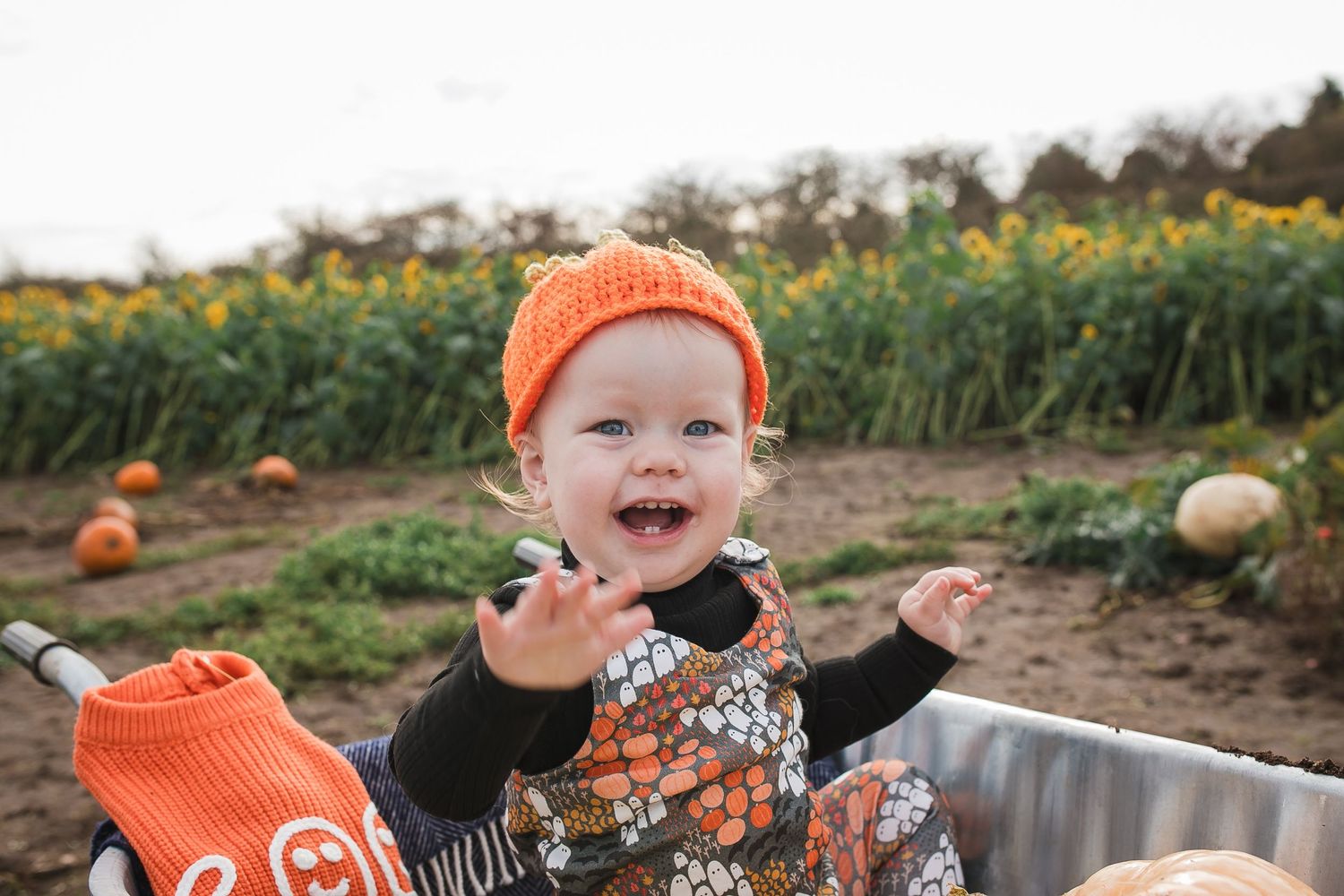 Child wearing orange beanie exploring pumpkin patch with joyful expression.