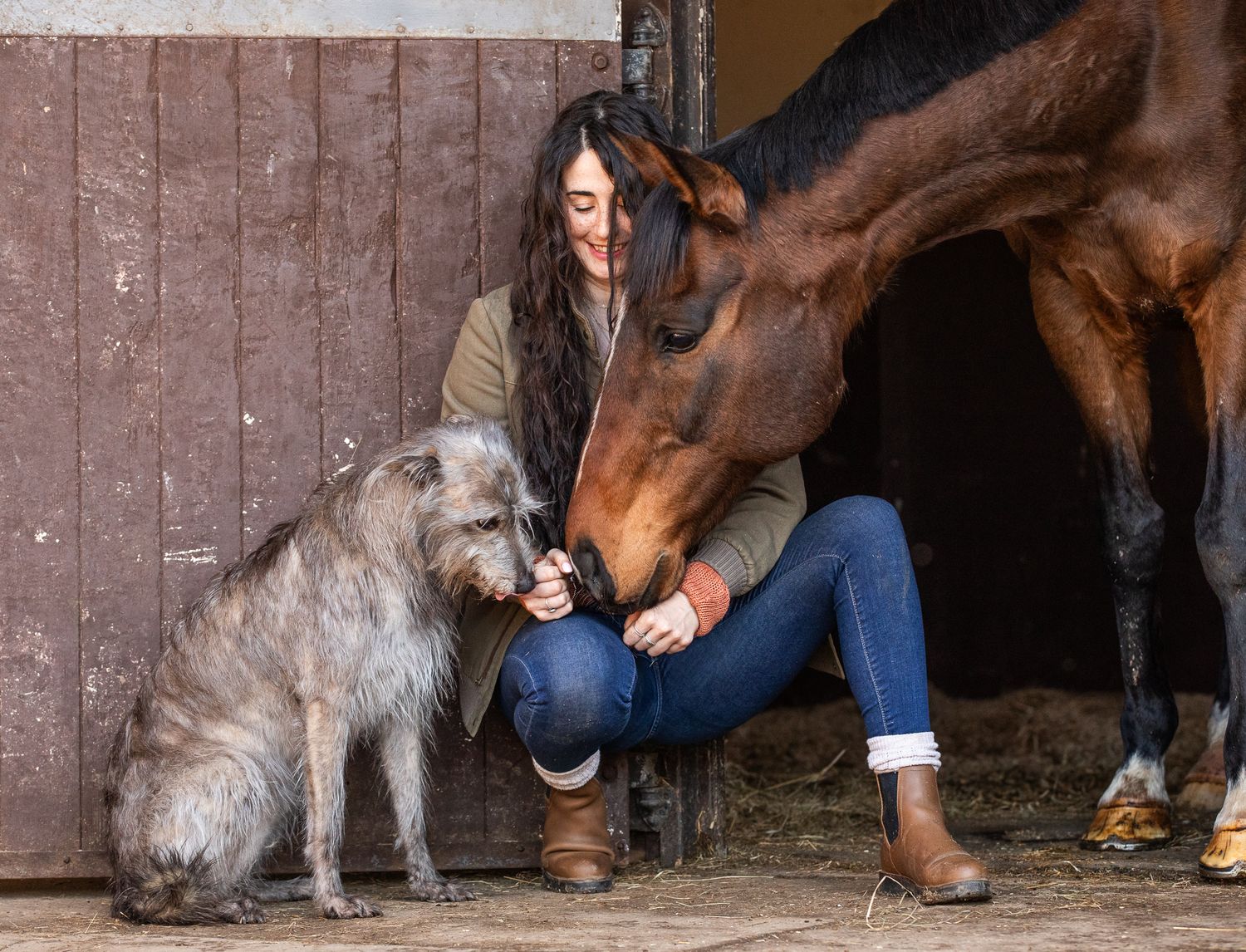 A brown horse and grey dog meet at a barn doorway while someone wearing brown boots kneels between them.