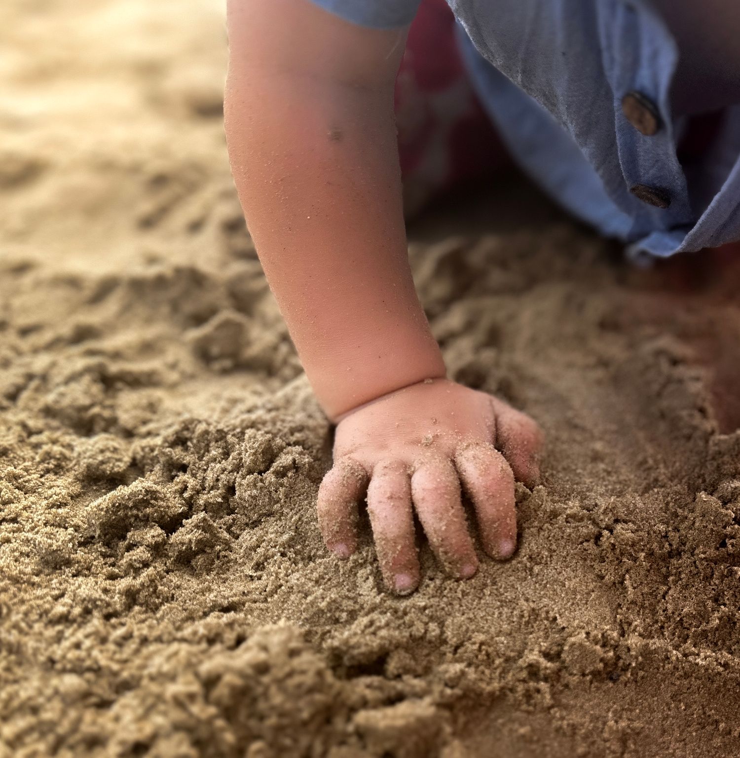 close up of a toddlers hand in the sand
