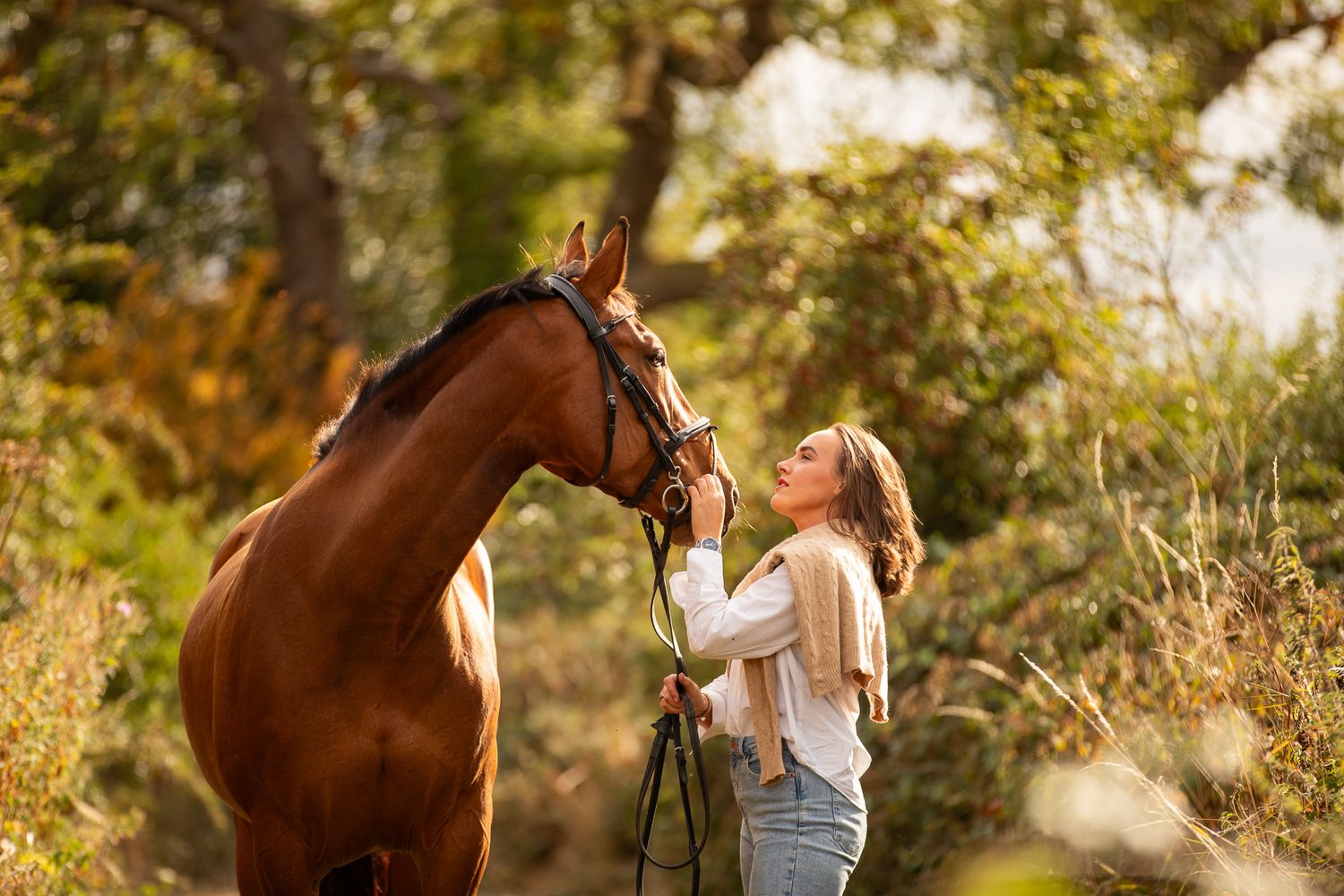 A person leads a palomino horse along a sunlit forest trail surrounded by tall evergreen trees.