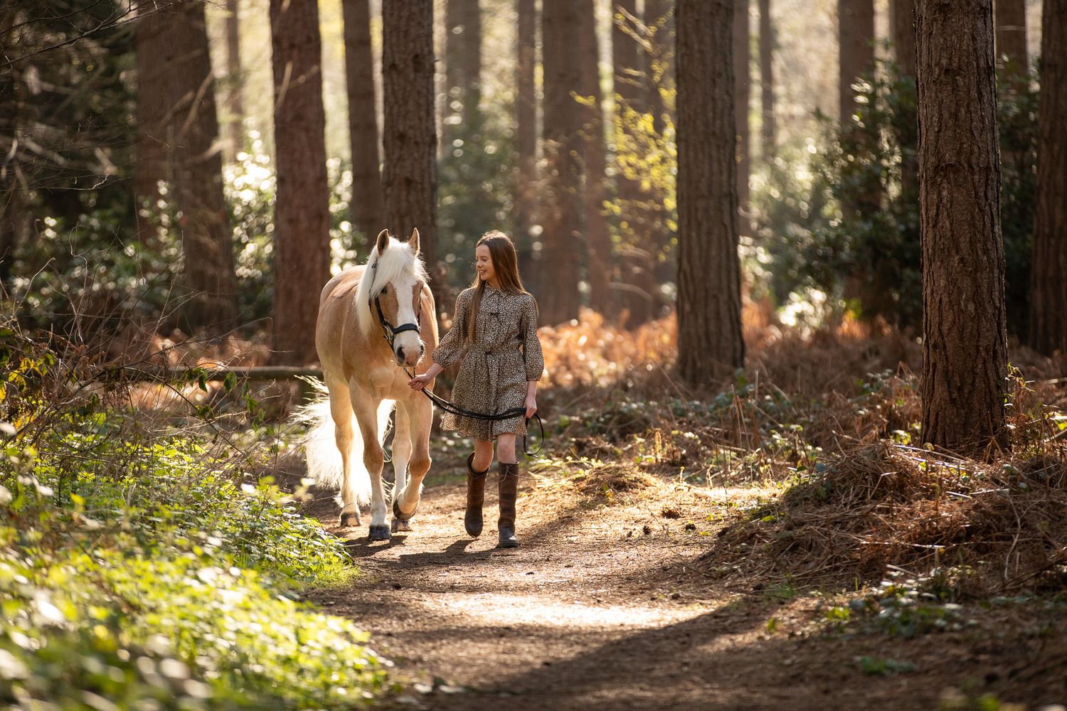 A person leads a palomino horse along a sunlit forest trail surrounded by tall evergreen trees.