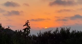 Beautiful orange sunset with silhouetted trees against a dusky sky.