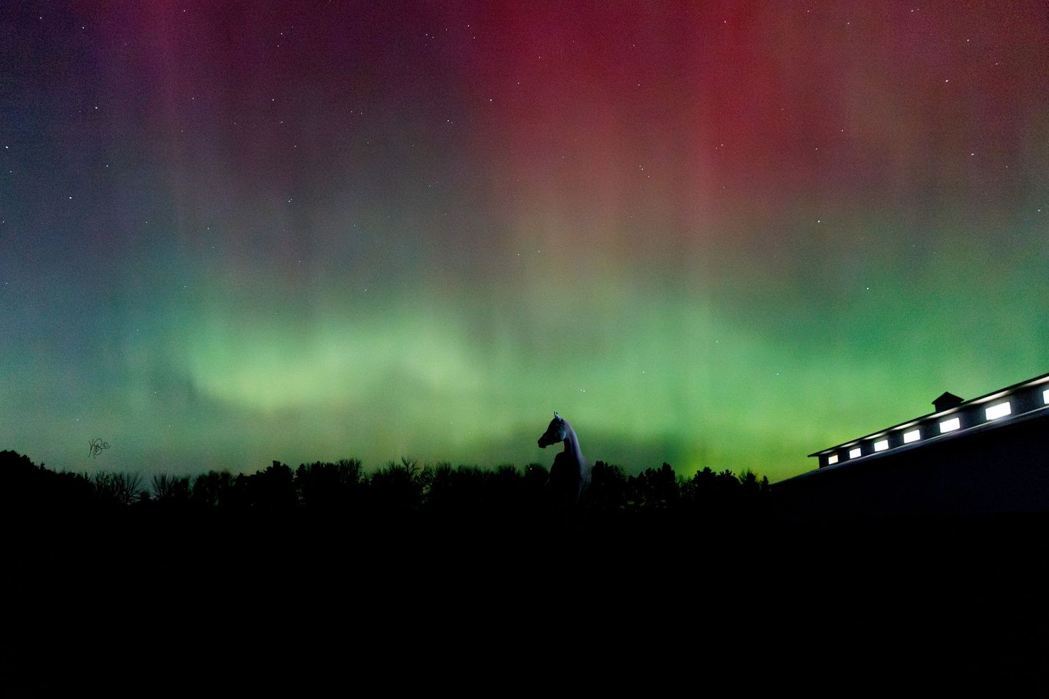 Northern lights illuminate the night sky with vibrant red and green colors.