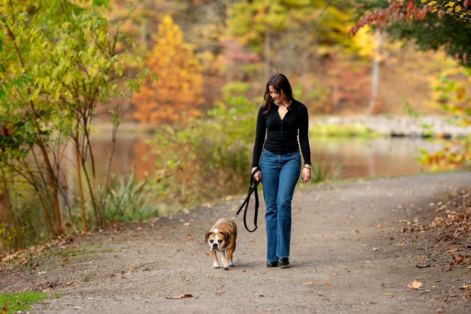 Woman walking an English Bulldog on a leash along a scenic autumn park path beside a pond.