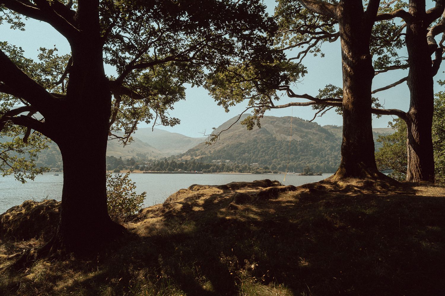 Two large trees frame a serene lake Ullswaterand green mountain landscape on a sunny day in The lake District.