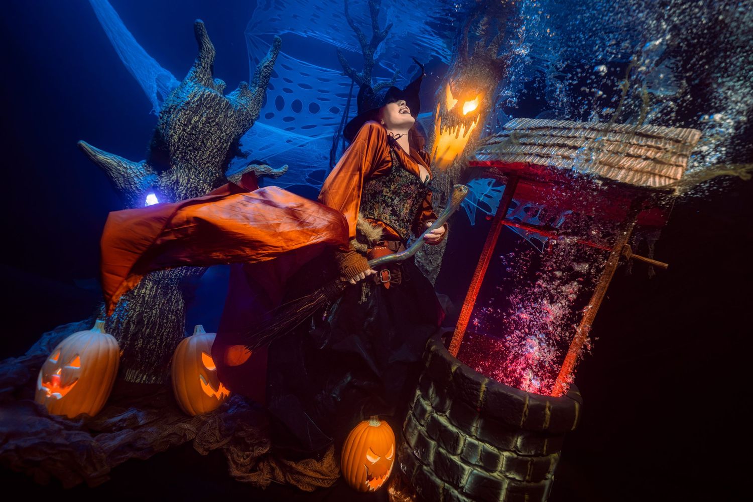 Underwater aerial portraits in Fullerton, CA on September 13, 2026. Turn your hoop, silks, or pole look into gallery-quality art.