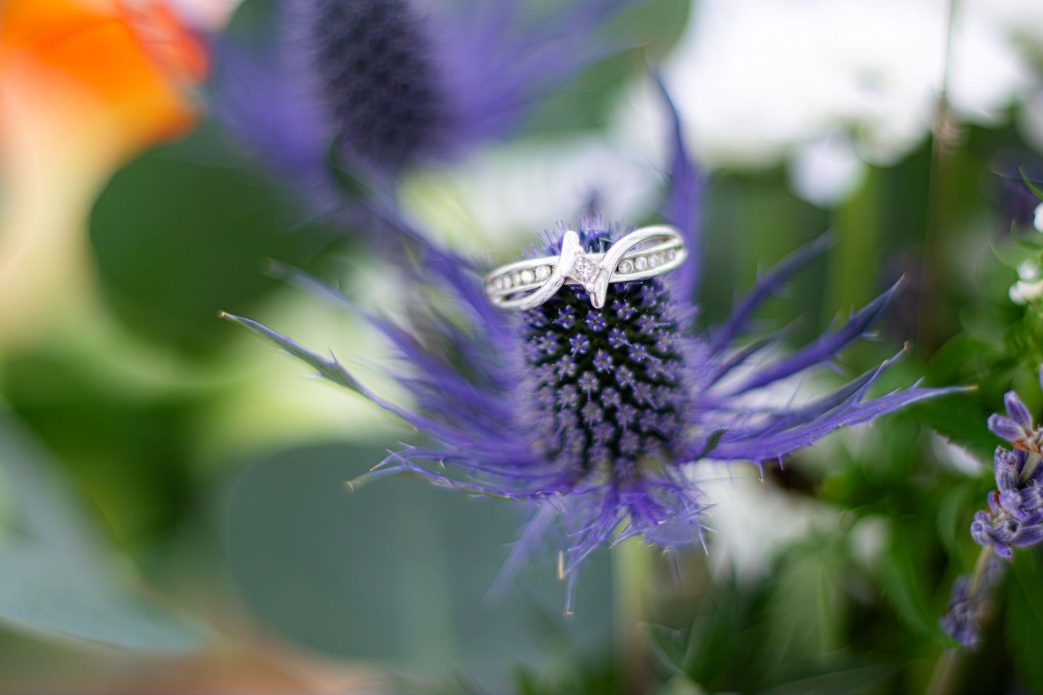 Stephanie Fenzl Photography Wedding