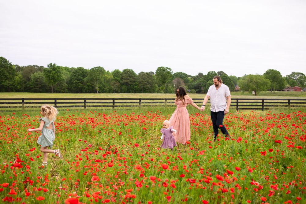 Favorite Photo Location Juniper Creek Farm in Raleigh North Carolina