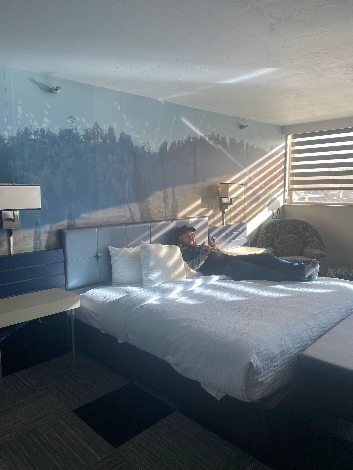 Modern hotel room with mountain mural wallpaper and sunlight streaming through window blinds.