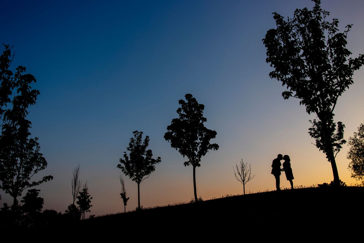 A silhouetted couple stands among trees against a colorful dusk sky.