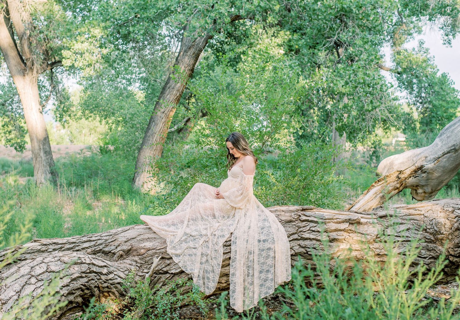 Rio grande nude maternity dress. mother sitting on tree holding belly with greenery behind her